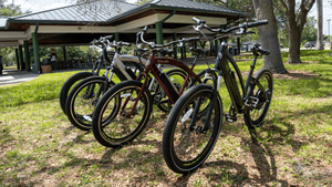 Life EV's e-bikes being display; Islander, Genesis, Phantom, and the Outlaw. 