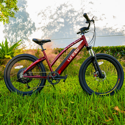 Custom Color Cruiser- Step-Thru e-Bike - Life EV